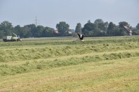 DSC_0570 (Andere)