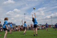 Volleyball (8) (Custom)
