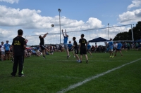 Volleyball (14) (Large)