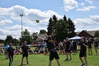 Volleyball (20) (Large)