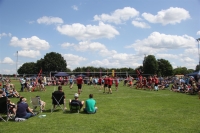 Volleyball (51) (Large)