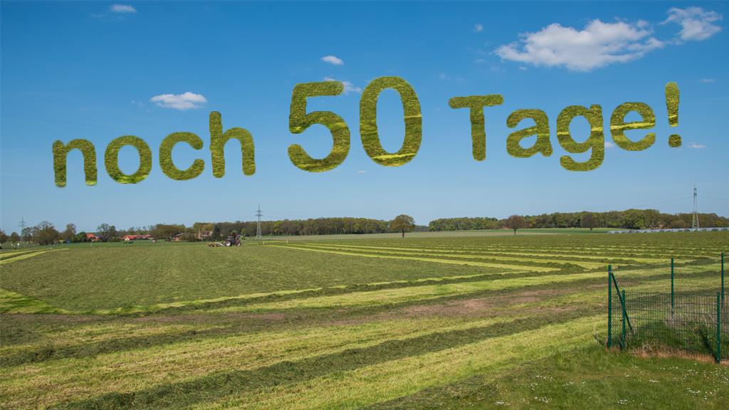 Nur noch 50 Tage